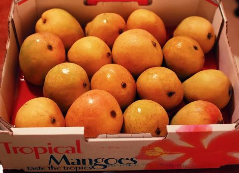 mangos
